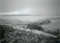 Frozen Early Morning