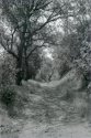 Through The Eye Of A Tourist - Pozo Trail