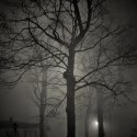 Night Walk In Monticello
