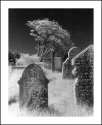 Country Graveyard