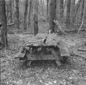 No Picnic!
