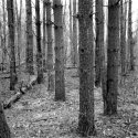 Agfa Isolette 2 Acros Ddx 0003