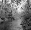 Ridley Creek