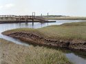 Marshfield Marsh