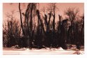 Snow1