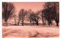 Snow 2