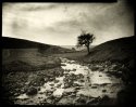 Bolli Hope Burn