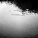 Neversink River