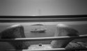 Passing Boat