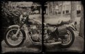 10x16 - Honda