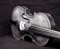 Latest 5 String Violin