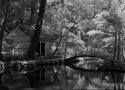 Okuni Shrine In Ir
