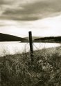 Fence