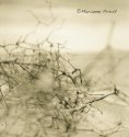Tangles