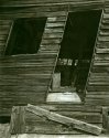 Cabin In The Maze
