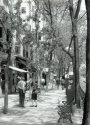 Madrid Street