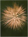 Instant Film Fireworks