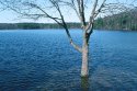 Walden, High Water