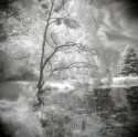 Holga Pics At Ne Oh Gathering