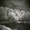 Holga Pics At Ne Oh Gathering