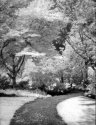 Finnerty Garden