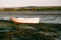 Estuary Evening