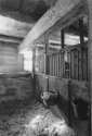 Horsehouse