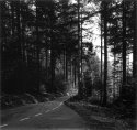Road In North Wales