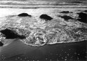 Shoreline In The Sunshine