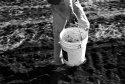 Last Bucket