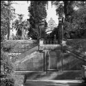 Stairs, Botanic Garden
