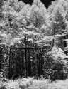 Richard's Gate