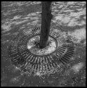 Remains