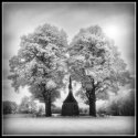 Ir