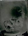 First Wet Plate Collodions