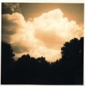 Diana/ Sepia & Gold