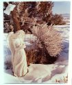 Cold Angel