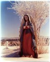 Cold Prayer