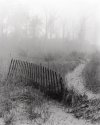 Path In Fog II