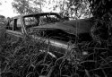 Wreck