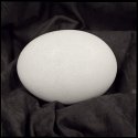 "The Egg"