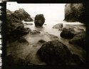 Sand Dollar Beach