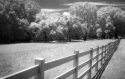 Fence-row-11 Flipped Web