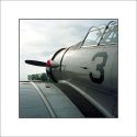 T-6 Texan