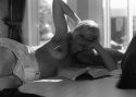 Sunday Morning
