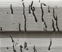 Tar And Vinyl Siding #1