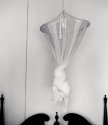Mosquito Net