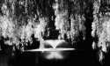 Fountain In Infrared