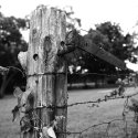 Post & Hinge