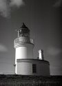 Chanonry Point